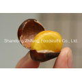 Nueva cosecha china Fresh Chestnut